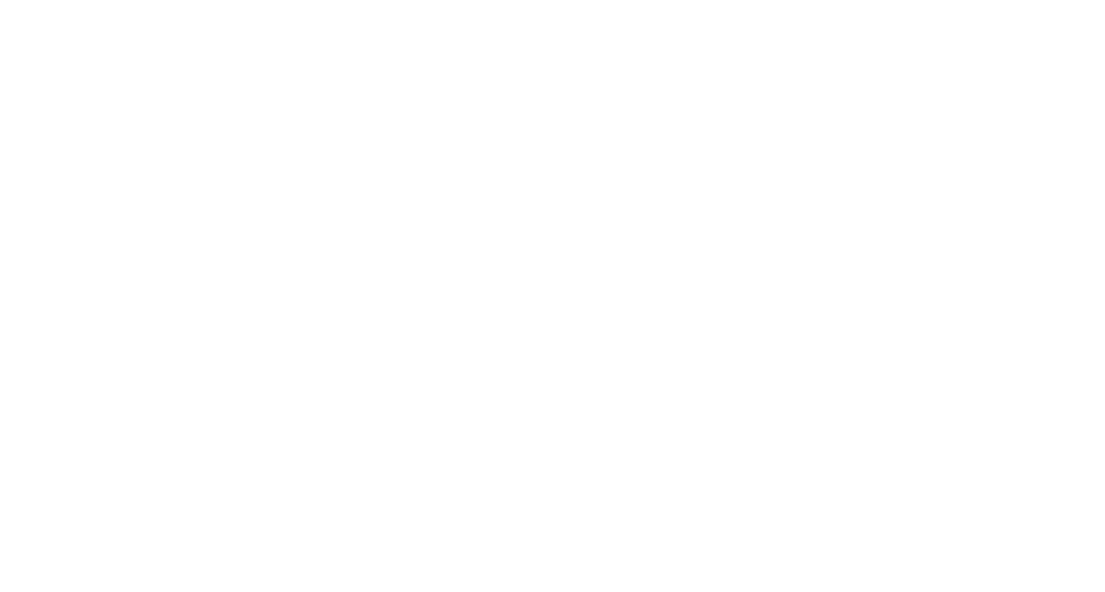 Swaroski logo